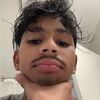 vvsebas_tr